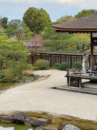 心がふわりとほどける時間。任和寺で出会うバイオリンと仏の響き