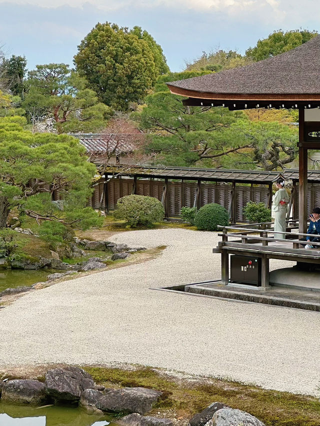 心がふわりとほどける時間。任和寺で出会うバイオリンと仏の響き