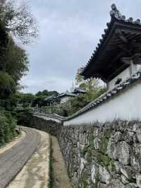 【日本🇯🇵】長崎　平戸市