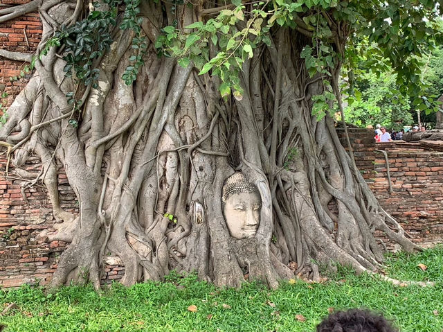 【タイ🇹🇭】バンコク観光