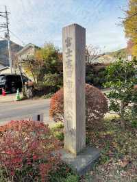 東京｜一日遊行程 ｜下吉田車站🏞️⛩️