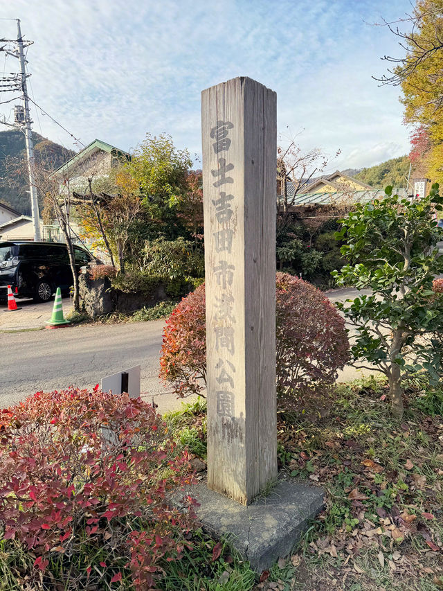 東京｜一日遊行程 ｜下吉田車站🏞️⛩️