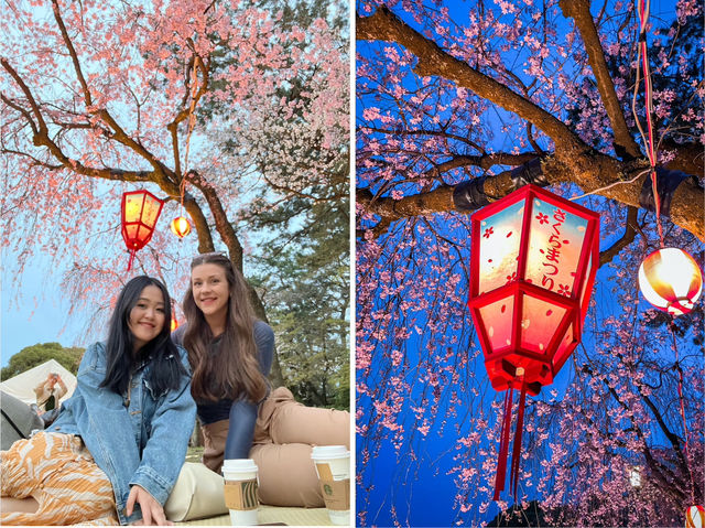 【名古屋】春の風物詩✨名古屋城のさくら祭り🏯🌸