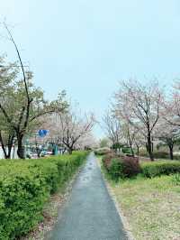 강동구 야외 데이트 장소 추천 🫶🏻🌷