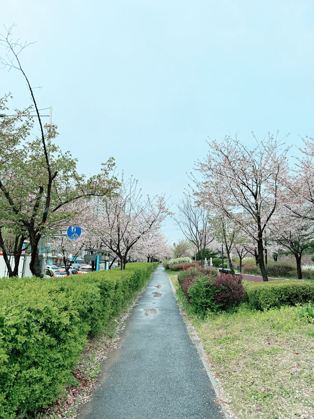 강동구 야외 데이트 장소 추천 🫶🏻🌷