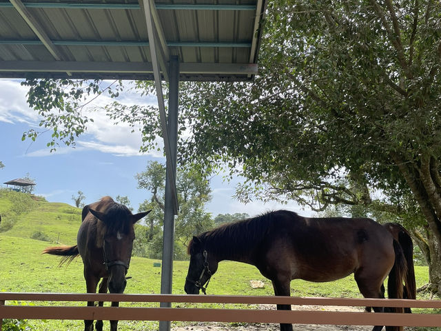 Borneo Happy Farm Date