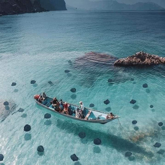 Socotra Island