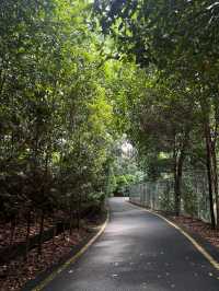 푸릇푸릇함이 가득한 🌲쿠알라룸푸르 페르다나 식물원