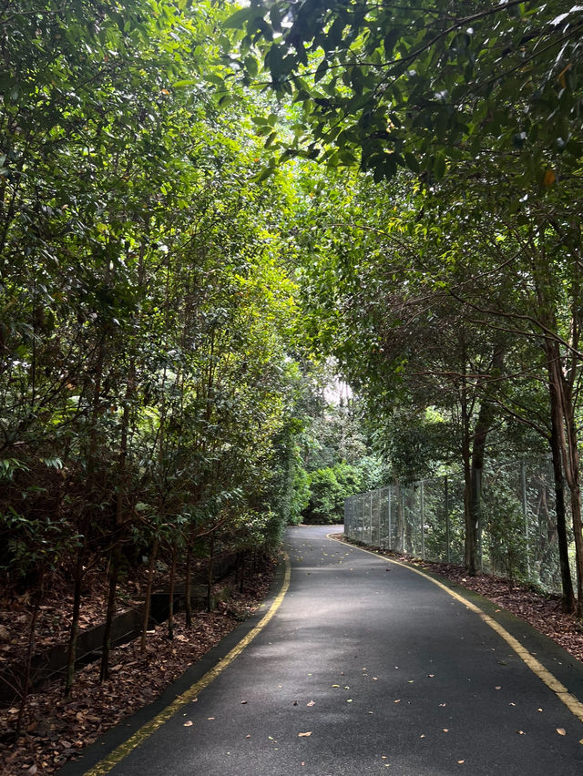 푸릇푸릇함이 가득한 🌲쿠알라룸푸르 페르다나 식물원