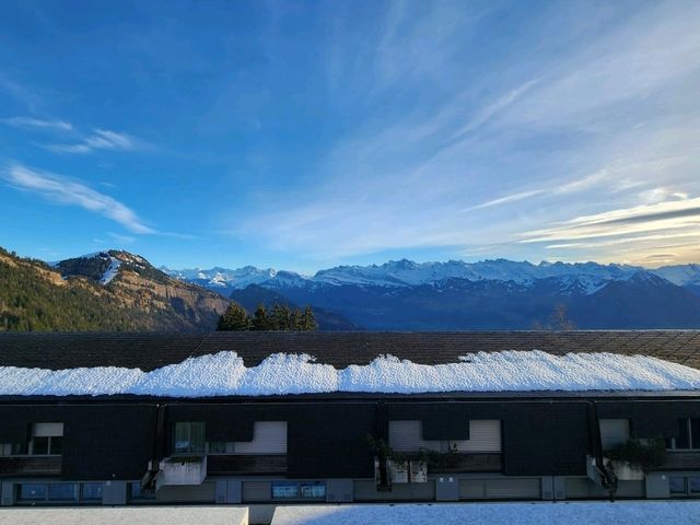 [🇨🇭リギ山] 雄大な景色を堪能できるRigi Kaltbad駅