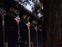 【武聖長眠處】洛陽關林深度攻略：探訪關羽首級安葬之地