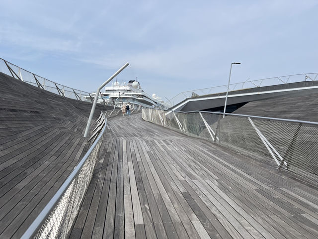 横浜🇯🇵くじらのせなか