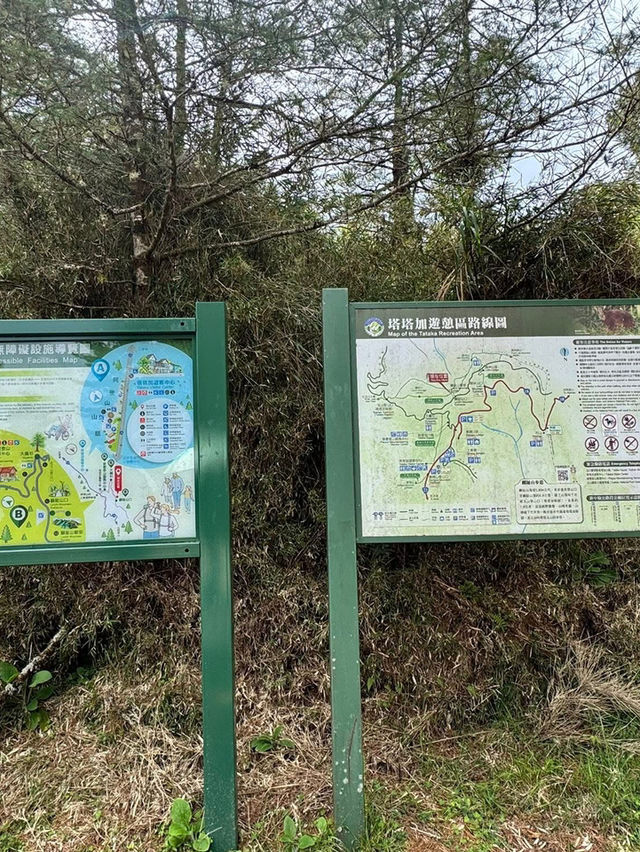塔塔加的熱門山～麟趾山輕鬆走