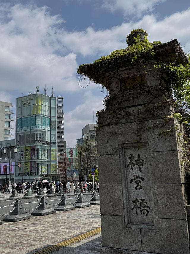 東京｜原宿站與明治神宮一日遊