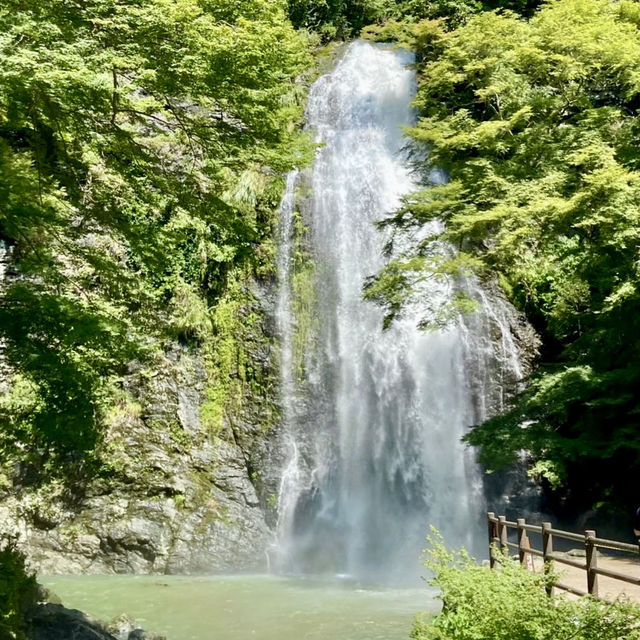 【大阪府】 マイナスイオンと涼しさを求めて　in箕面の滝