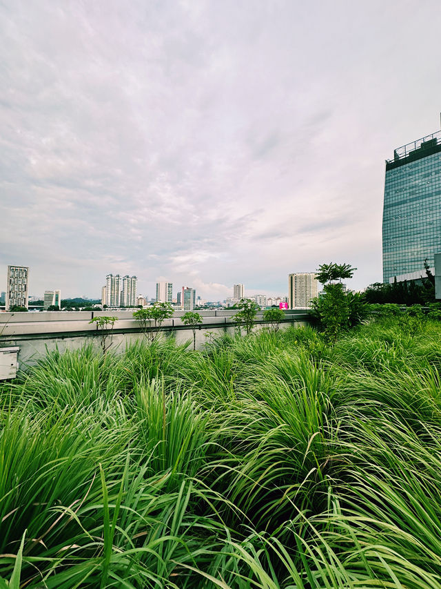 Sky-High Serenity at The Starling Mall Rooftop Garden