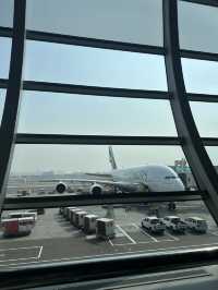 Fly with Emirates