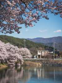 Rokudō no Tsutsumi 🌸