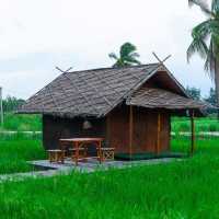 ที่ปลายนาตากับยาย อุทัยธานี