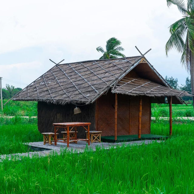 ที่ปลายนาตากับยาย อุทัยธานี