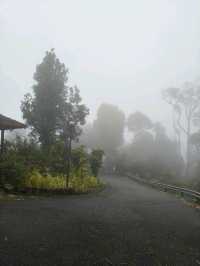 A Hidden Japanese Paradise in Genting Highlands