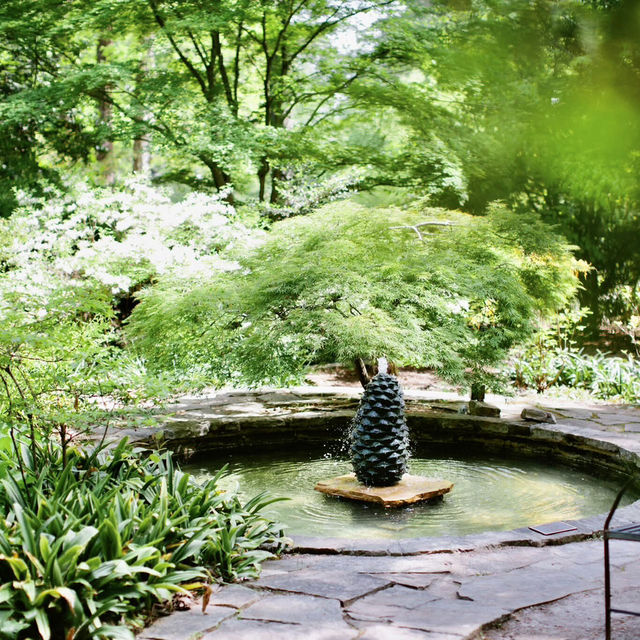Peaceful Green Escapes to Explore in Birmingham 