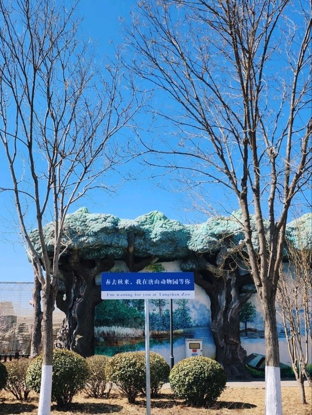 免門票看熊貓就在唐山動物園！！