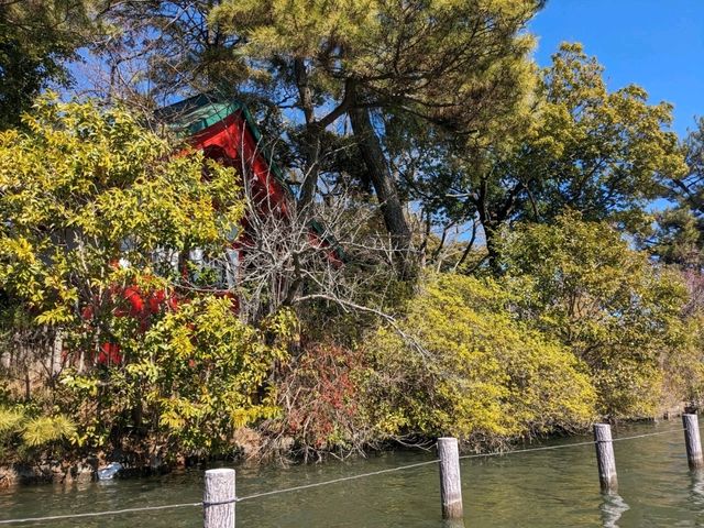 【東京】神社や季節の花を見ながらボートに乗れる洗足池公園