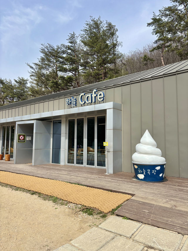 날씨 좋은 날 꼭 가야하는 평창 3대 목장 추천💙☁️