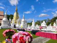 วัดสวนดอก 