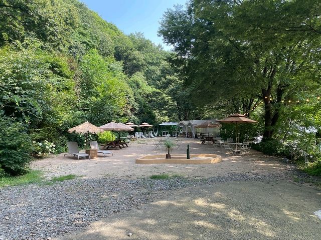 카페 들