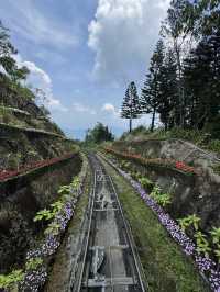 Pro tips when visiting BA NA HILLS in Danang! 🇻🇳 