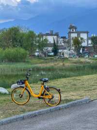 The Perfect Curve: A Springtime Pause at Dali’s Scenic S湾