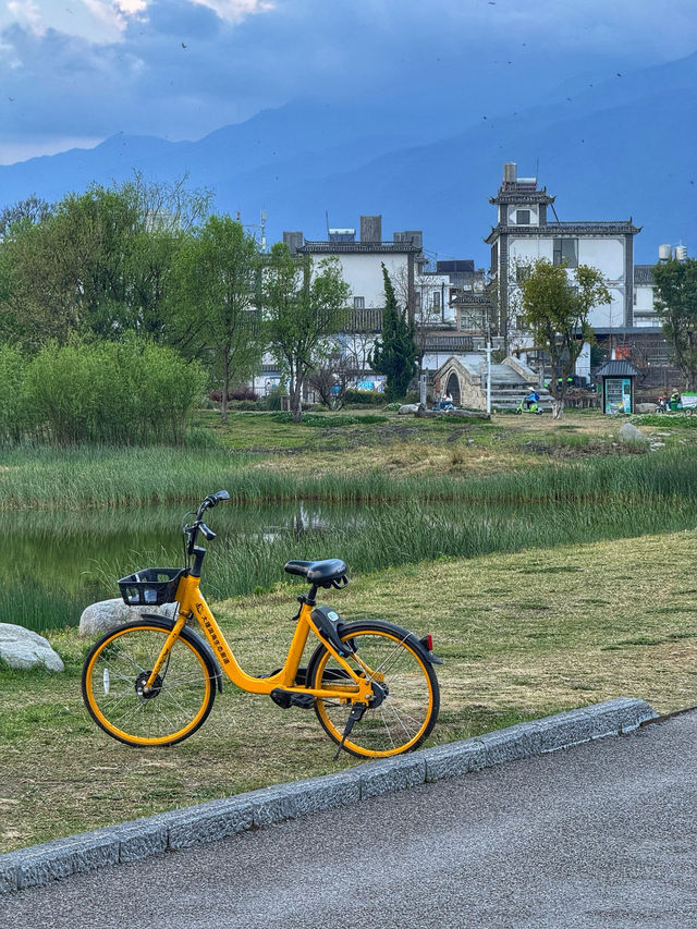 The Perfect Curve: A Springtime Pause at Dali’s Scenic S湾