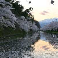 Hirosaki Park in Aomori Prefecture is one of the most breathtaking places