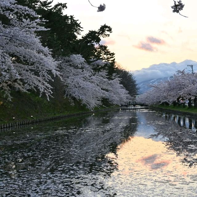 Hirosaki Park in Aomori Prefecture is one of the most breathtaking places