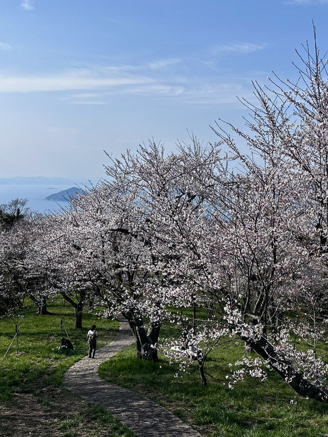 四國高松的絕美景點-紫雲出山