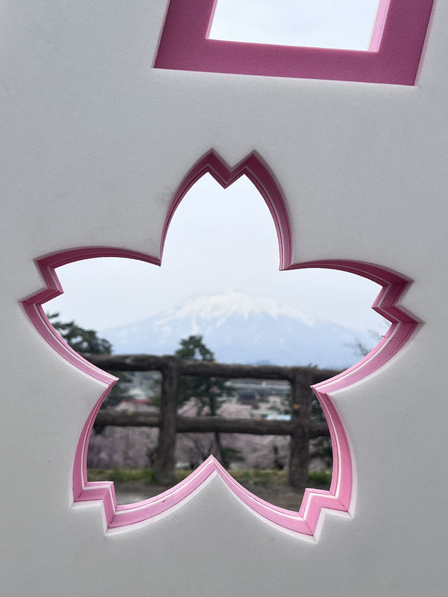 絕美賞櫻勝地 陰天也超美 弘前公園☺️