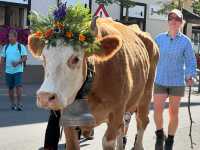 My 3-Day Itinerary at the Alpabzug Festival in Switzerland