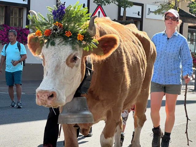 My 3-Day Itinerary at the Alpabzug Festival in Switzerland
