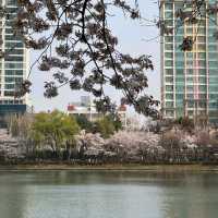 Seokchon Lake (Seoul)