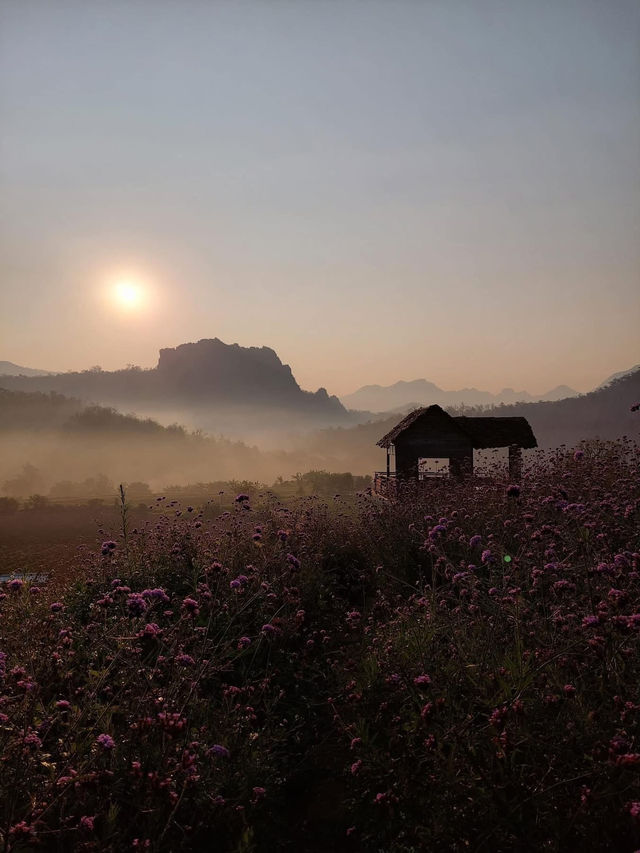 ไร่ภูผาหมวก “สวยดุจภาพวาด”🏞️