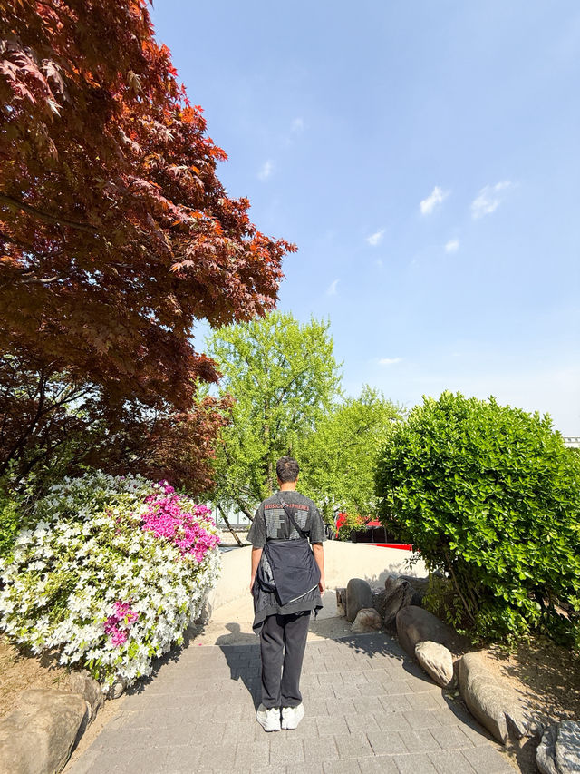 韓國景點🇰🇷寧靜休閑的小公園🌳