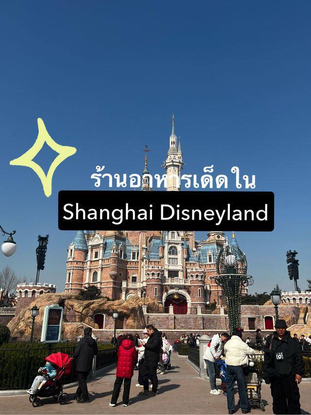 พิกัดกะเพราไข่ดาวในDisneyland Shanghai