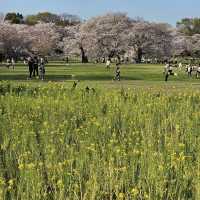 Nature’s Paradise at Showa Kinen Park