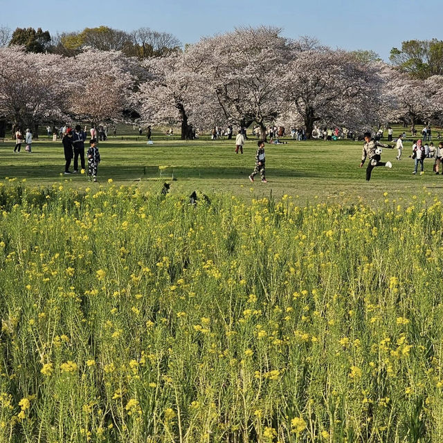 Nature’s Paradise at Showa Kinen Park