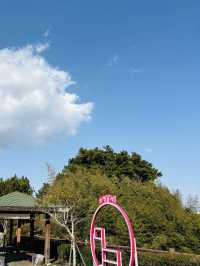 Jeju's Beauty at Seogwipo Chilshimli Park