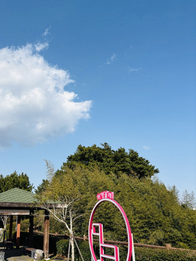 Jeju's Beauty at Seogwipo Chilshimli Park