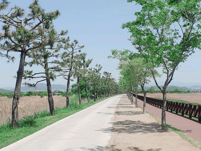 살아있는 자연 순천만습지 