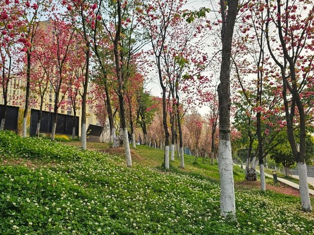 Kunming Waterfall Park